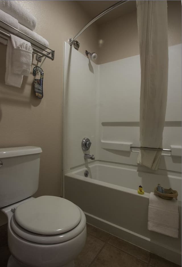 Junior Single Room (King)