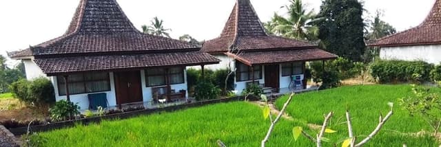 Superior Room, 1 Queen Bed, Garden View