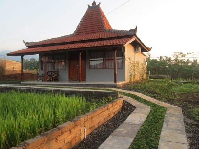 Superior Room, 1 Queen Bed, Garden View