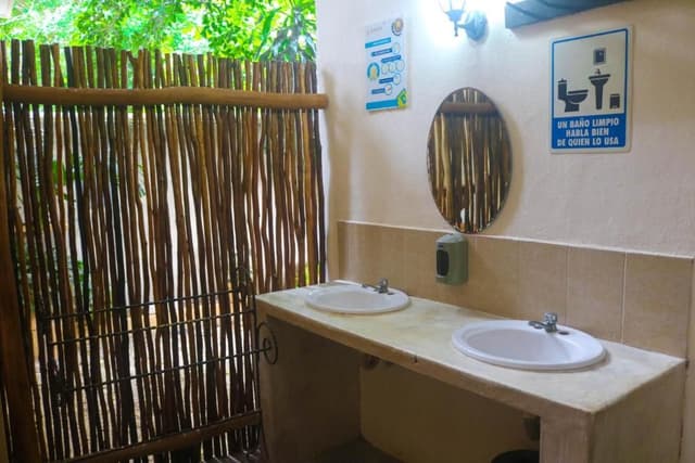 Mixed Dormitory Room