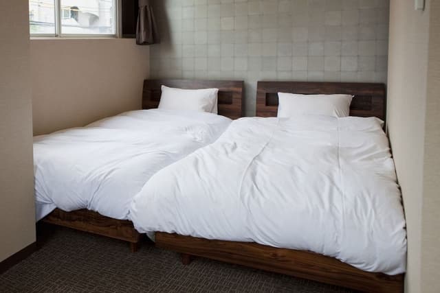 Deluxe Room with Tatami Area