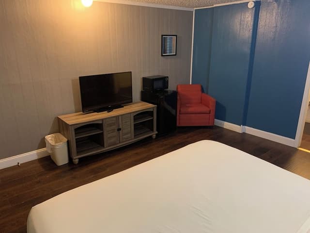 Room, 1 King Bed