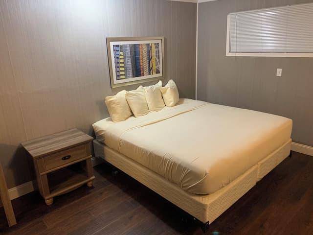 Room, 1 King Bed