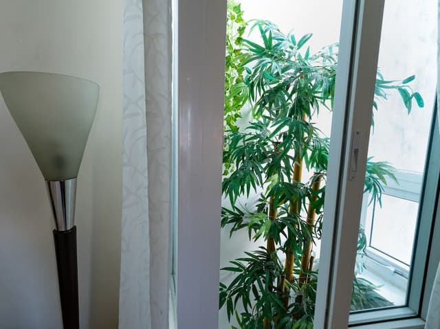 Family Room, Garden View