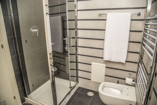 Suite Executive 206