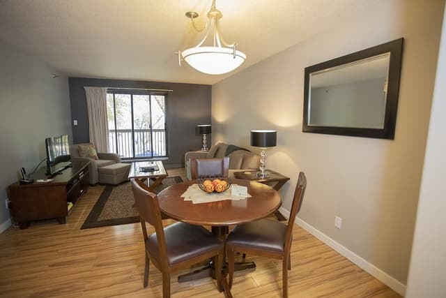 City Apartment, 1 Queen Bed