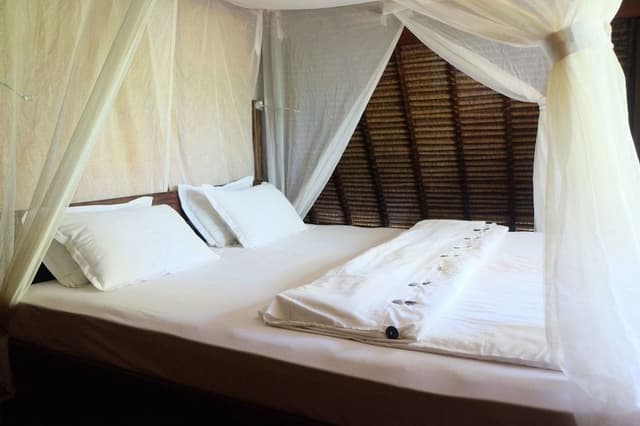 Two Bedroom Villa (with Fan & shared bathroom)