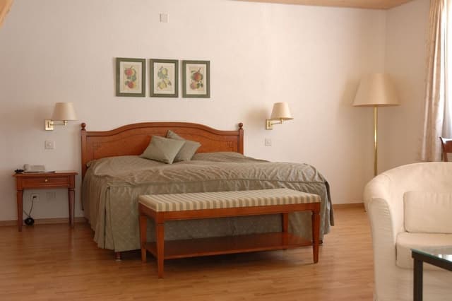 Suite (Mini Suite)