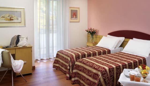 Comfort Double or Twin Room
