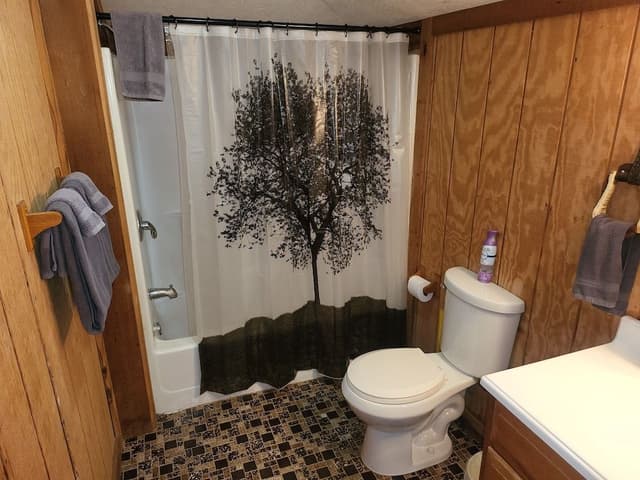 Traditional Cabin