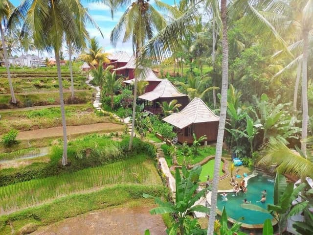 Wooden One-Bedroom Cottage with Rice Field View