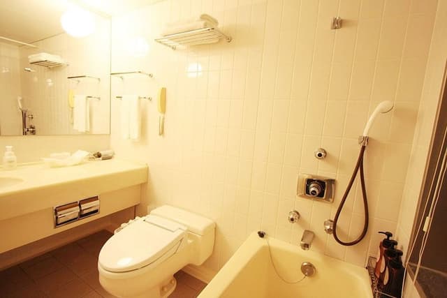 Deluxe Twin Room, Smoking