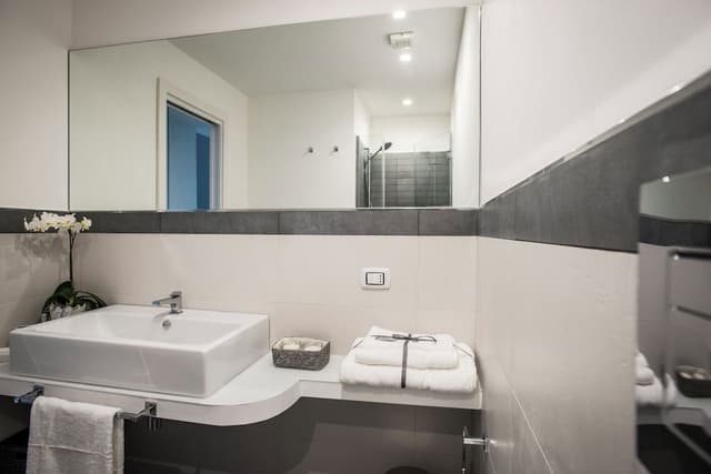 Deluxe Apartment, City View