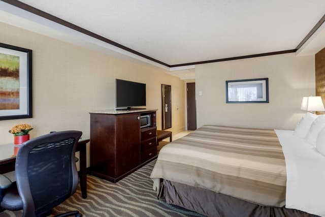 Standard Room, 1 King Bed, Non Smoking (Walk-in Shower)