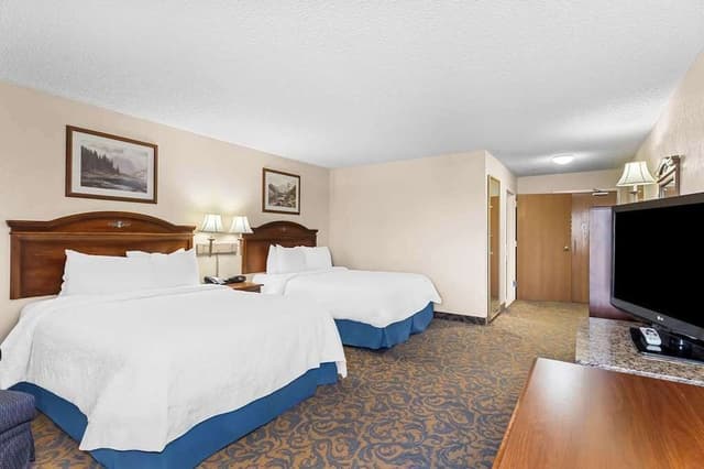 Basic Double Room