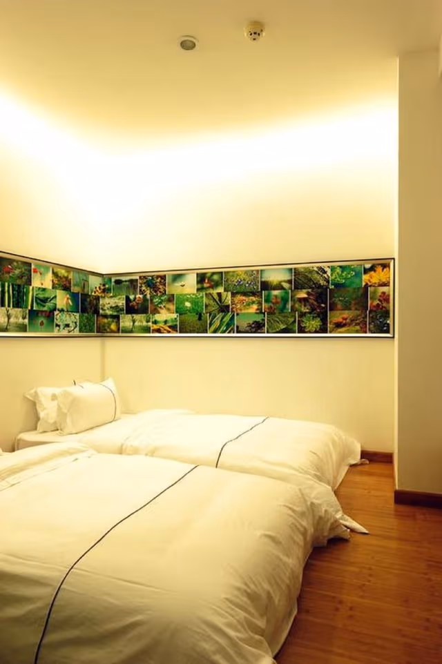 Standard Twin Room