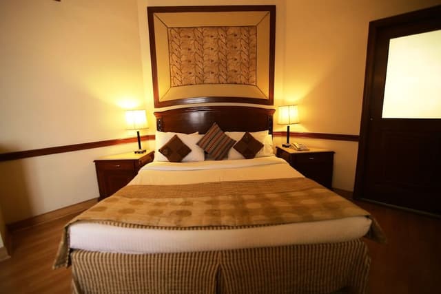 Presidential Room, 1 King Bed