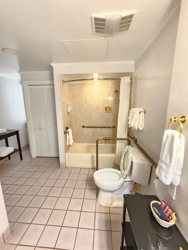 Comfort Studio, Bathtub Grab Bars, City View