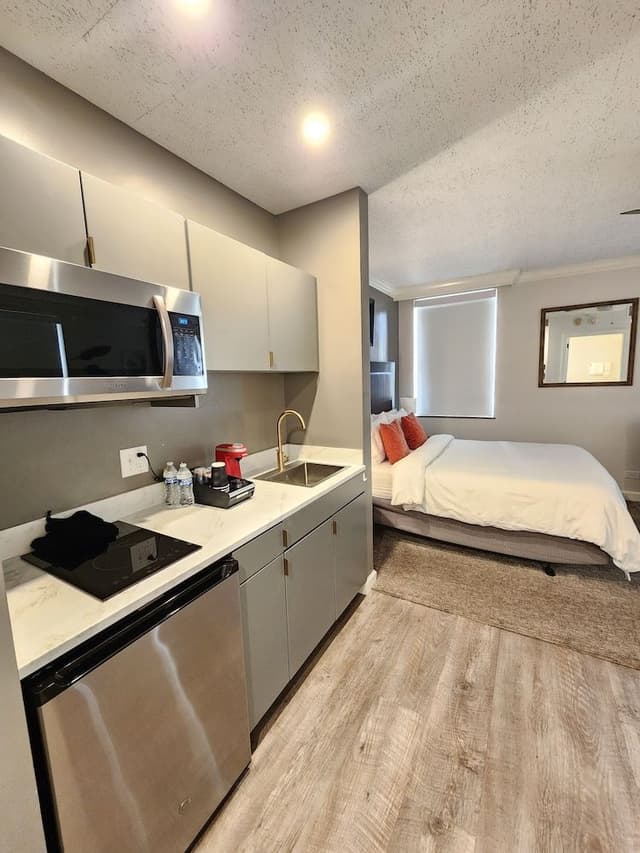 Comfort Studio, Bathtub Grab Bars, City View