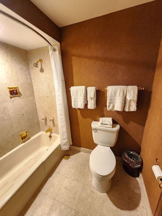 Comfort Studio, City View
