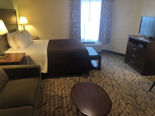 Suite, 1 Queen Bed