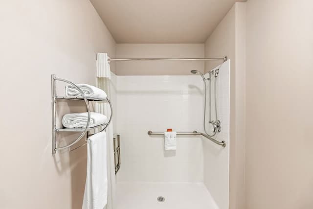 Comfort Suite, 1 Queen Bed, Accessible Roll-in Shower