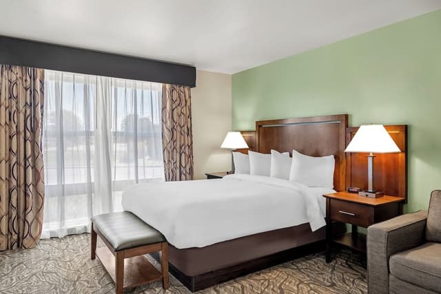 Comfort Suite, 1 Queen Bed, Accessible Roll-in Shower