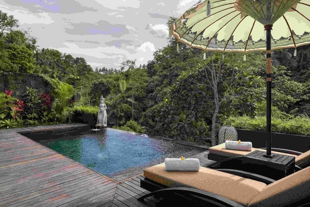 Jungle Pool View