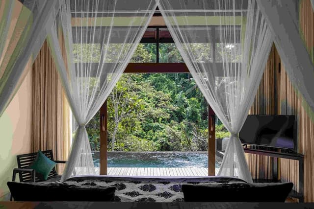 Jungle Pool View