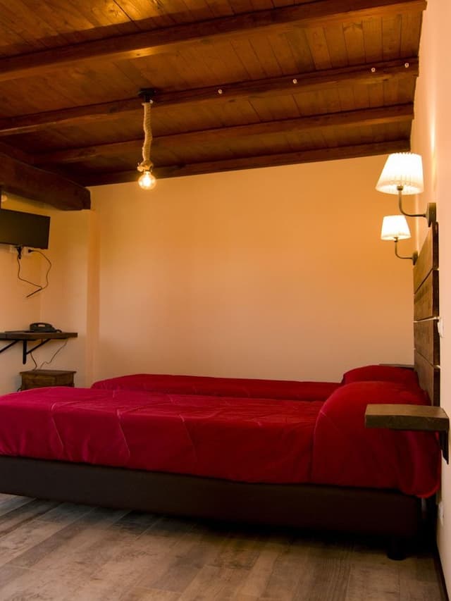 Double or Twin Room