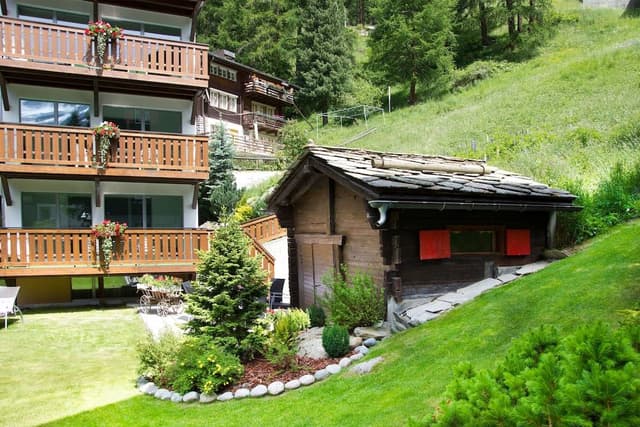 Boutique Studio South wit Matterhorn view