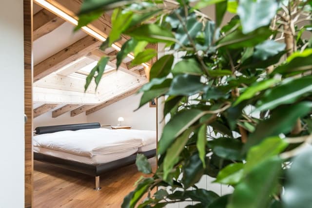 Maisonnette Attic Apartment