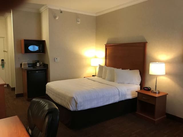 Business Room, 1 Queen Bed, Non Smoking, Refrigerator & Microwave