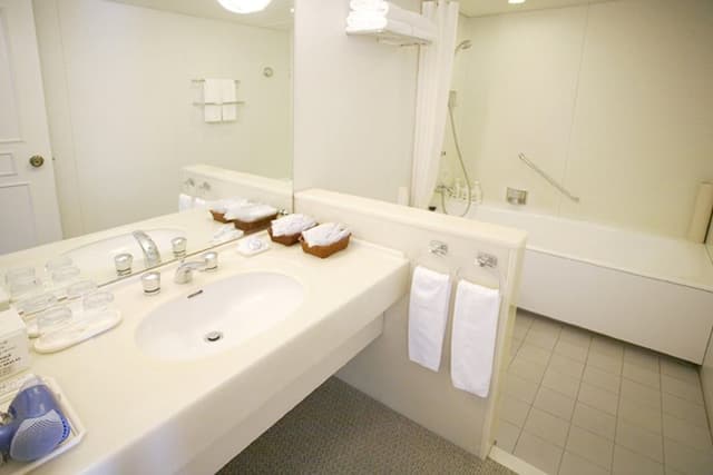 [Non-Smoking] Deluxe Double Room (Single Use)