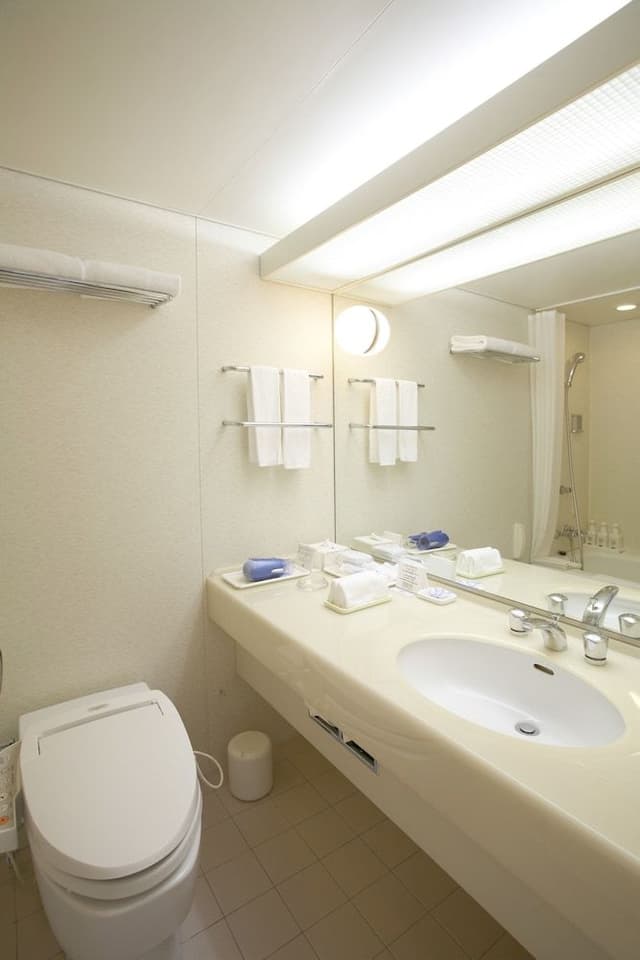 [Non-Smoking] Twin Room