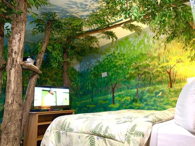 Sherwood Forest, 1 King Bed (Downstairs)