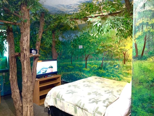 Sherwood Forest, 1 King Bed (Downstairs)