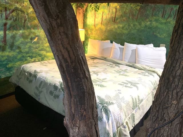 Sherwood Forest, 1 King Bed (Downstairs)