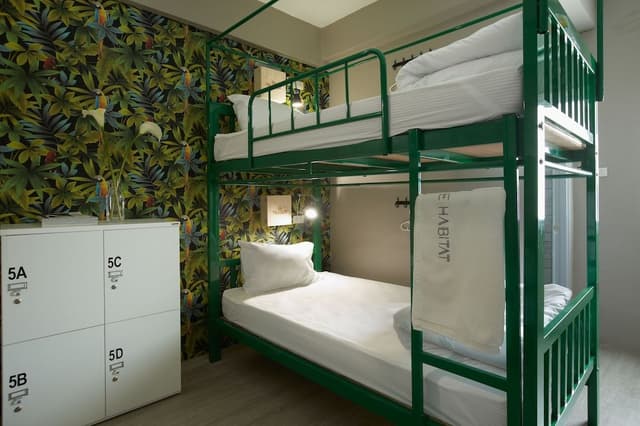 4 Bed Mixed Dorm Room