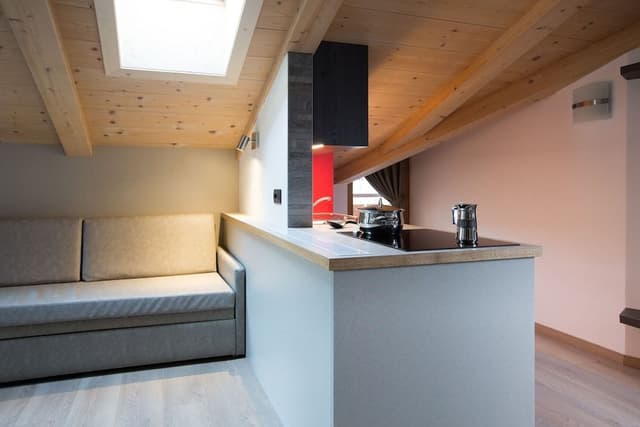 Apartment, 2 Bedrooms (Mansarda)