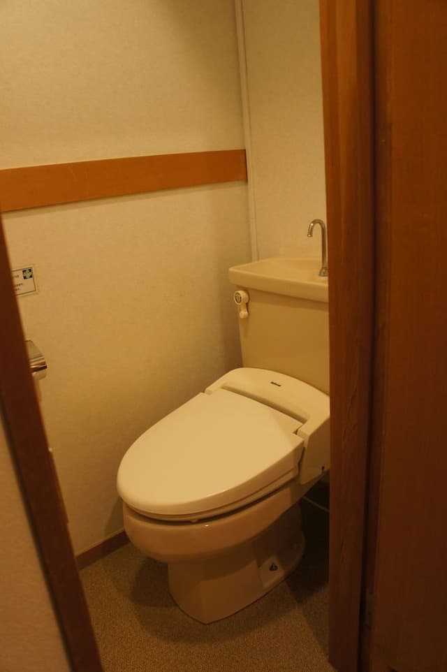 Standard Japanese-Style Room, Non Smoking