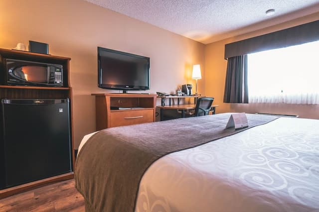 Standard Room, 1 Queen Bed, Non Smoking (Not pet friendly)