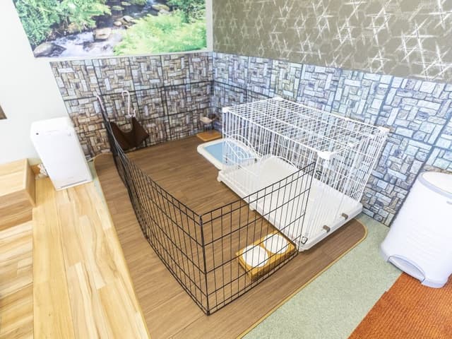 Family Room, Non Smoking, Shared Bathroom