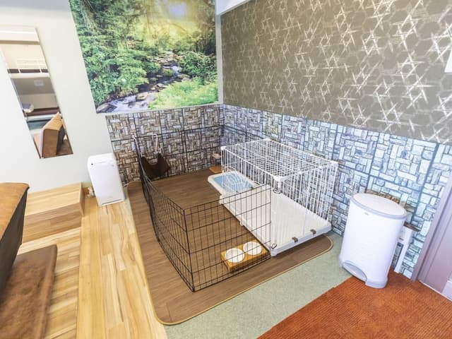 Family Room, Non Smoking, Shared Bathroom