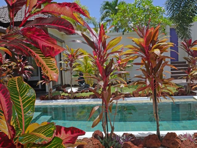 Luxury Villa, 2 Bedrooms, Private Pool, Ocean View