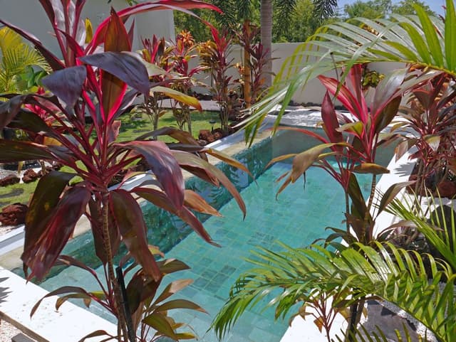 Luxury Villa, 2 Bedrooms, Private Pool, Ocean View