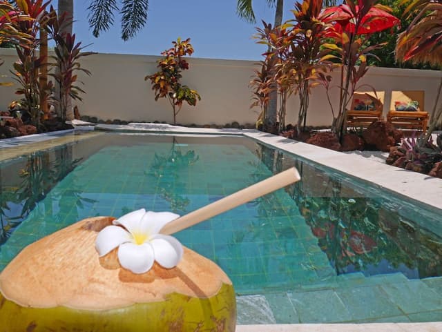 Luxury Villa, 2 Bedrooms, Private Pool, Ocean View