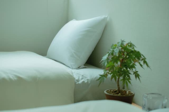 Japanese Style Room with Twin bed, Non Smoking