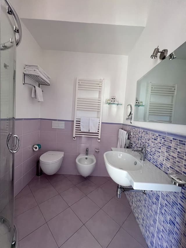 Superior Double Room, Terrace (Amethyst)