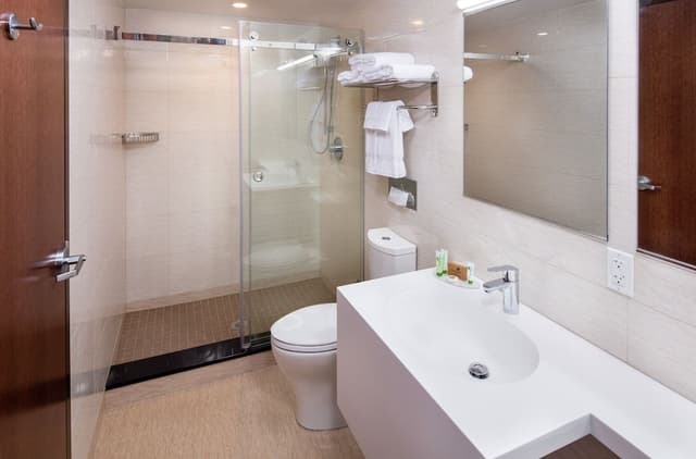 Suite, 1 King Bed